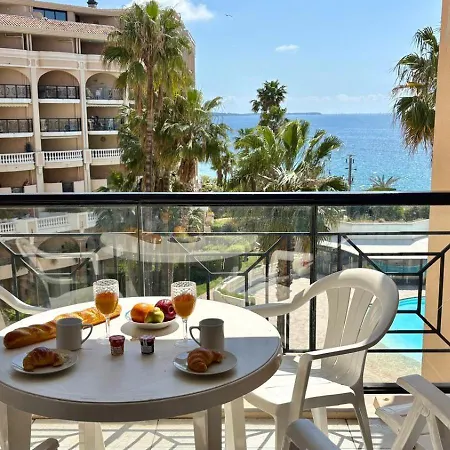 Palme D'azur 527 Classe 1 Etoile 戛纳