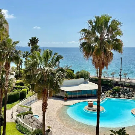 Palme D'azur 527 Classe 1 Etoile *
